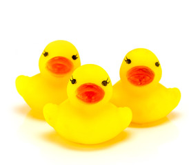 Yellow toy rubber duck mouth, red - Stuffed duck white backgroun