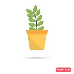 Houseplant color icon. Flat design. Environmental theme for web and mobile