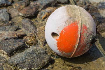 Old buoy on bubble in the coastal area