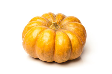 Pumpkin isolated on white background