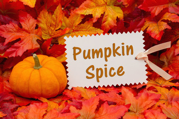 Pumpkin spice message