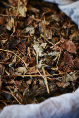 Chinese herbal medicine