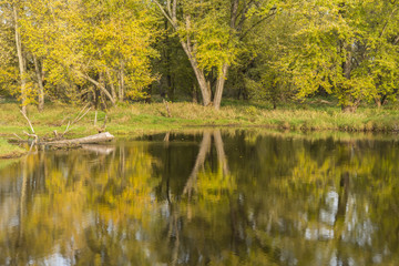 Fototapeta premium Mississippi River Backwaters In Autumn