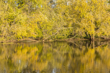Mississippi River Backwaters In Autumn