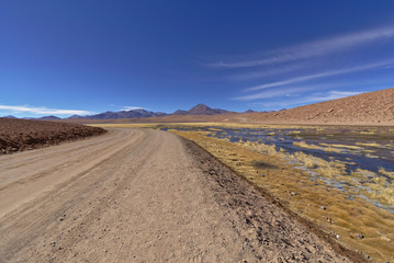 Road in the desert next to lush pond and volcanoes.