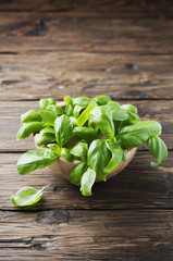 Fresh green basil on the table