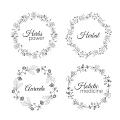 Herbs Illustration. Floral frames.