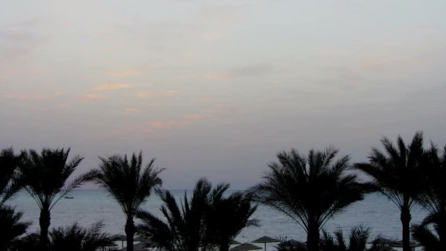beautiful landscape with palms and sunrise over sea - timelapse 4k

