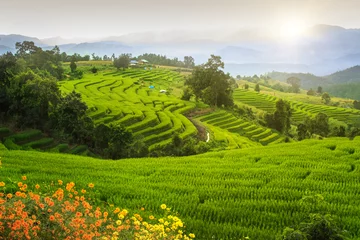 Foto auf Acrylglas Views of rice terraces, Chiang Mai, Thailand. © beerphotographer