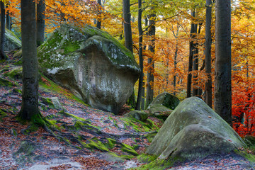 Deep moss autumn forest with big stone
