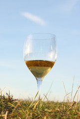  white wine against blue sky