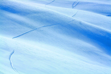 Neige 