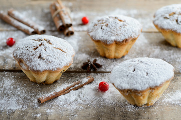 Christmas winter food composition: cakes in icing sugar with cranberry and cinnamon