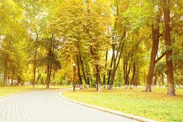Footpath in beautiful autumn park