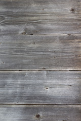 Fototapeta premium wood texture grey