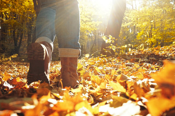 Legs of woman walking in autumn park on sunny day