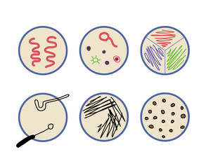 microorganisms plate