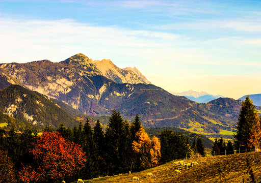 Austrian Alps © owen