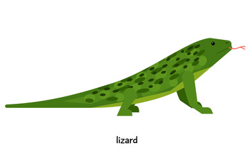 Green lizard with red tongue