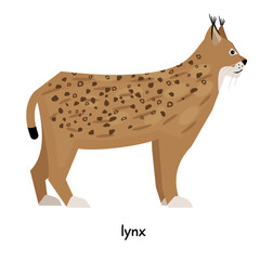 Nice Lynx in flat style