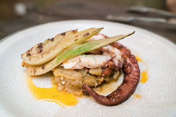 chorocal grill octopus
