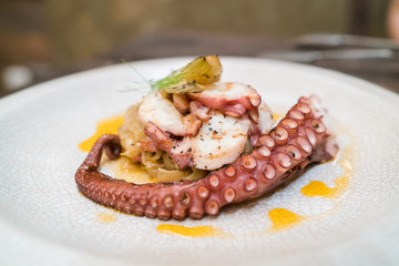 chorocal grill octopus
