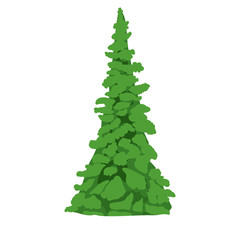 pine tree icon. Plant nature spring garden theme. Isolated design. Vector illustration