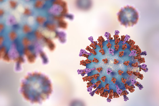Respiratory syncytial virus, 3D illustration which shows structure of virus of two types of surface spikes. One of viruses which causes common cold