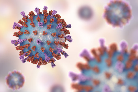 Respiratory syncytial virus, 3D illustration which shows structure of virus of two types of surface spikes. One of viruses which causes common cold