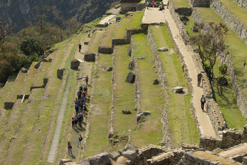 machu pichu terrazas agricultura