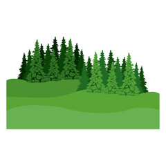 Fototapeta premium pine tree icon. Plant nature spring garden theme. Isolated design. Vector illustration