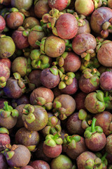 Fresh mangosteens for sell to the market in thailand
