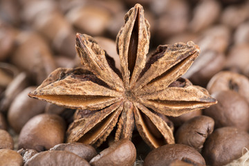 Coffee beans and star anise close up.