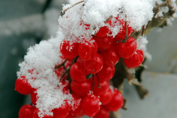 First snow
