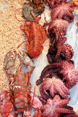 seafood 