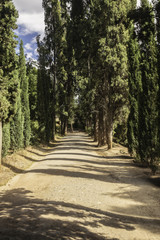 Alhambra, Generalife, Granada, Walk to the exit.