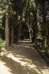 Alhambra, Generalife, Granada, Walk to the exit.