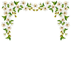 Obraz premium Blossoming twig of cherry fruit isolated on white background