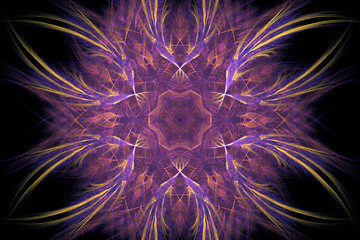 computer fractal decorative colorful floral pattern on a black background