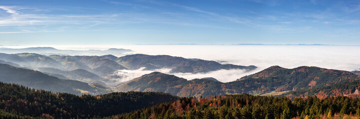 Nebelmeer im Schwarzwald