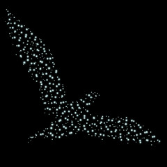 силуэт птицы из звезд