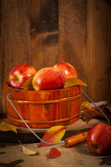 Organic apples. Selective focus.