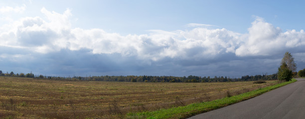 panoramic field