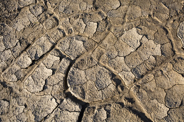 Dry land, cracked ground, without water. 