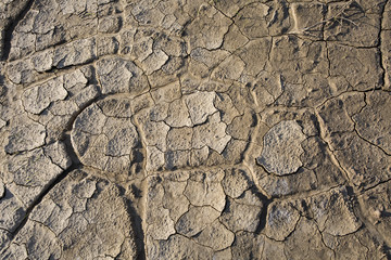 Dry land, cracked ground, without water. 