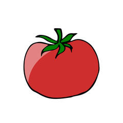 tomato vector scetch