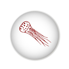 jellyfish scetch. vector