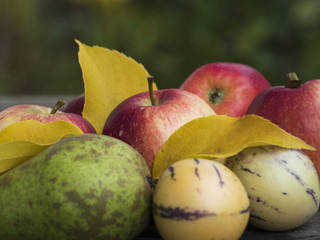 Äpfel, Kürbisse und eine Birne auf einem Tisch im Garten