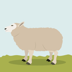 Lamb icon. Livestock animal life nature and fauna theme. Vector illustration
