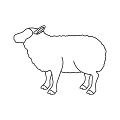 Lamb icon. Livestock animal life nature and fauna theme. Vector illustration
